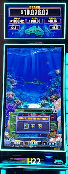 Crash Games Statistics H22